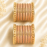 Meenakari Rajwada Look Set