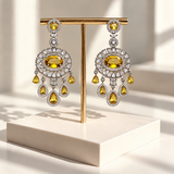 Elegant Oval Drop Earrings