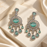 Elegant Oval Drop Earrings