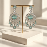 Elegant Oval Drop Earrings