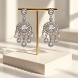 Elegant Oval Drop Earrings